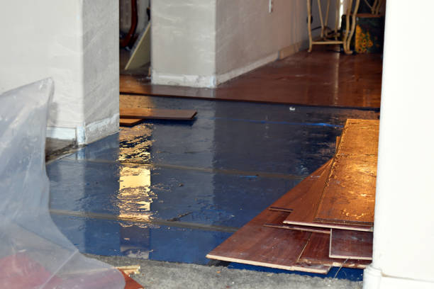 Professional Basement Flood Cleanup technician working in Yale, MI